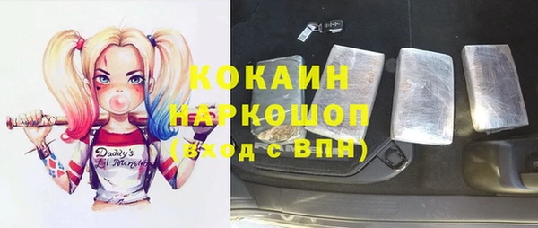 молекула духа Арсеньев