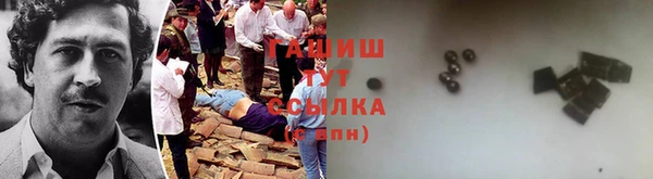 молекула духа Арсеньев