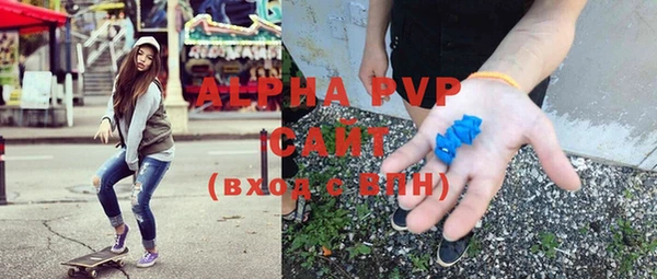 крисы Алексин