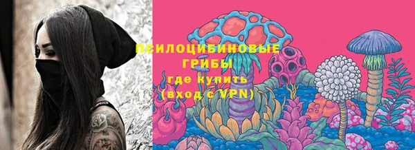 молекула духа Арсеньев