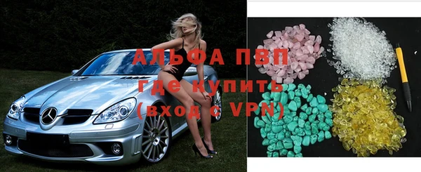 молекула духа Арсеньев