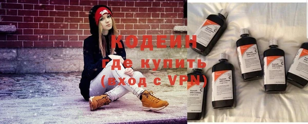 молекула духа Арсеньев