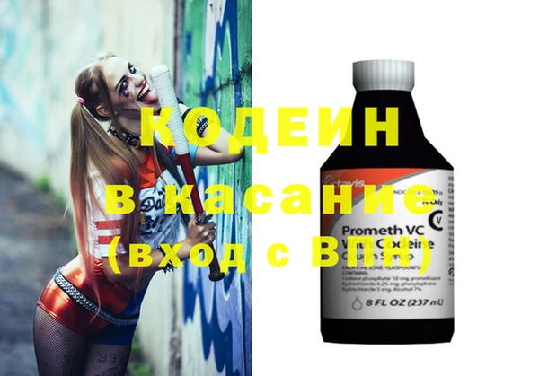молекула духа Арсеньев