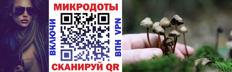 наркошоп  Удачный  Галлюциногенные грибы Magic Shrooms 